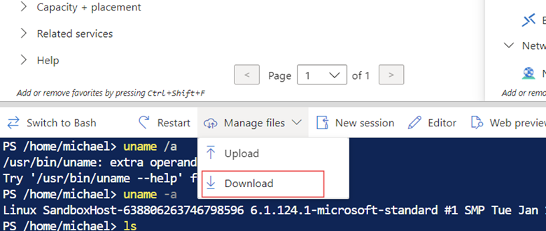 Mapping Hidden Containers in Azure Cloud Shell: A Case Study in ...